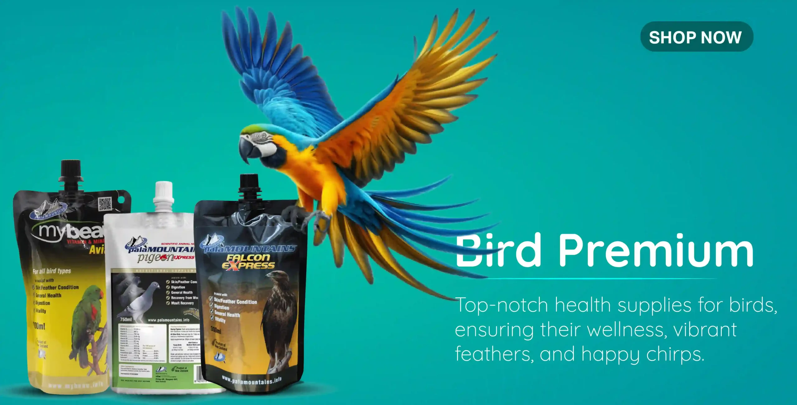 bird