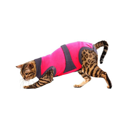 MAXX-MEDICAL-SHIRT-FOR-CAT-(4XS)