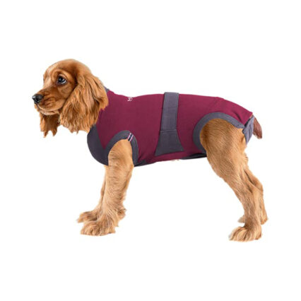 MAXX-MEDICAL-SHIRT-FOR-DOG-(4XS)