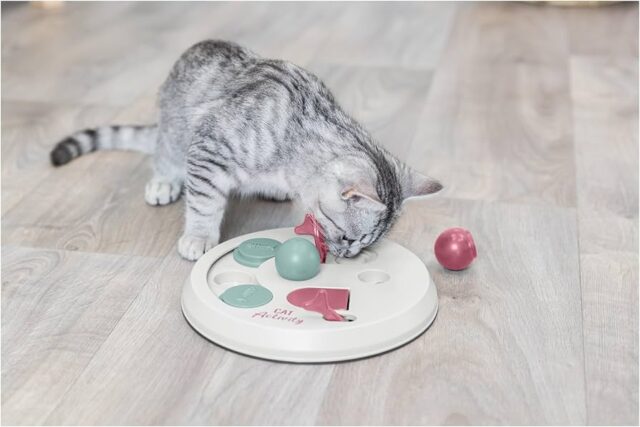 Activity Flip Board Strategy Game for Cats - 23CM
