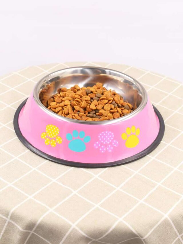 Antiskid Coloured Belly Cat Bowl with Printing in YellowViolet (11.5 cm)