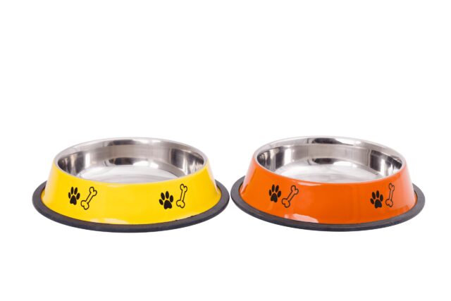 Antiskid-Coloured-Dog-Bowl-with-Printing-in-YellowOrange-17-cm
