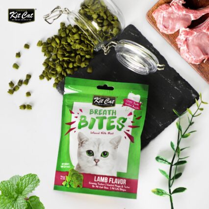 Kit Cat Breath Bites Lamb Flavor, Green, 60g