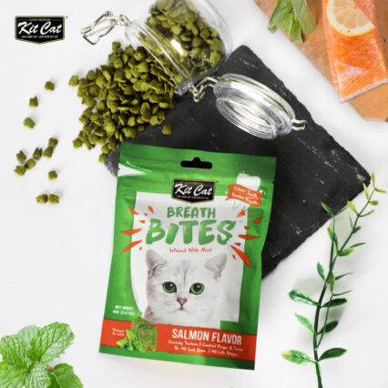 Kit Cat Breath Bites Salmon Flavor, Green, 60G