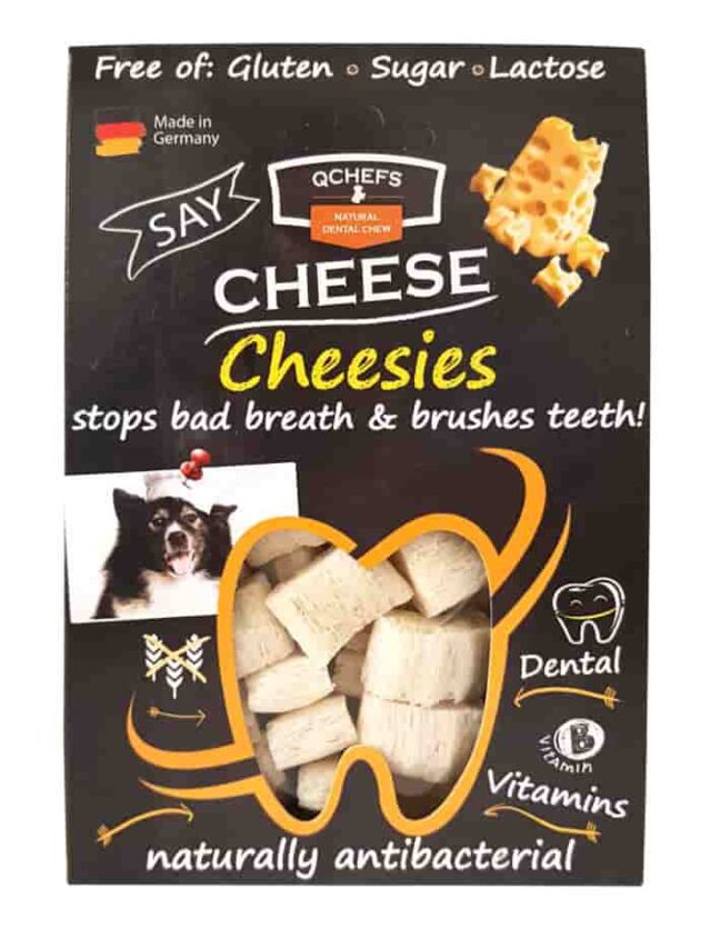 QCHEFS Cheesies