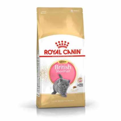 ROYALCANIN FELINE BREED NUTRITION BRITISH SHORTHAIR KITTEN 2 KG