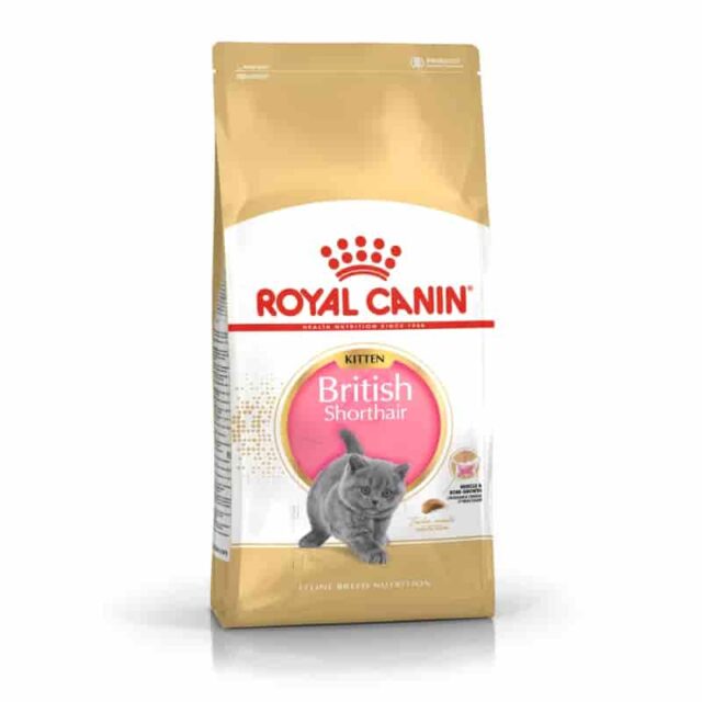 ROYALCANIN FELINE BREED NUTRITION BRITISH SHORTHAIR KITTEN 2 KG