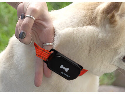 ReddiPet CR2032 No Bark Collar