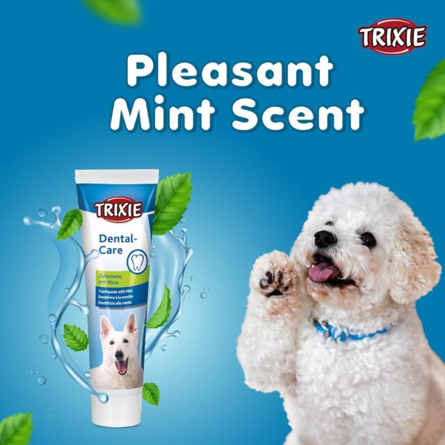 Toothpaste with Mint for Dogs 100g