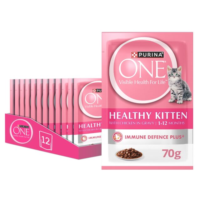 Wet Healthy Kitten with Chicken 70g (Pack of 12)